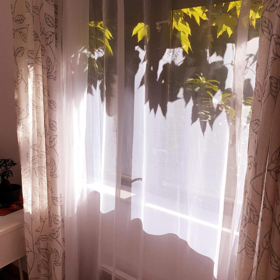 Ochota Forest Guest House Varsó Kültér fotó